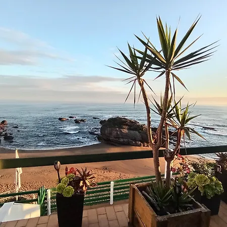 Pura Vida Estaño Apartamento