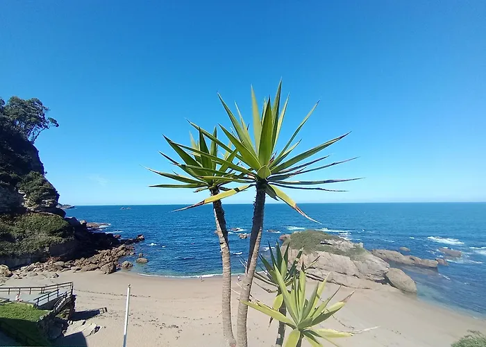 Pura Vida Estano Daire